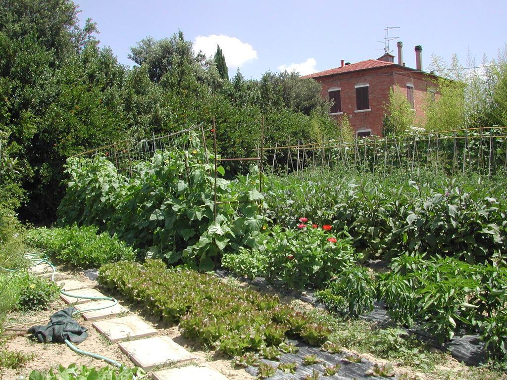 פויאנו דלה קיאנה Villa La Lodola מראה חיצוני תמונה